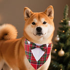 ADOGGYGO Christmas Dog Tuxedo Bandana, Red Green Plaid Pet Xmas Collar with Bow, Adjustable Christmas Costume for Small Dogs (S)