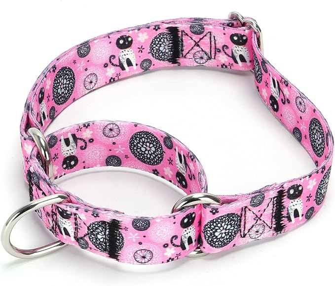 Serijoars Adjustable Martingale Dog Collar Heavy Duty Nylon Dog Collar for Medium Large Dogs Walking Training Boy and Girl Dogs (NO1, M)