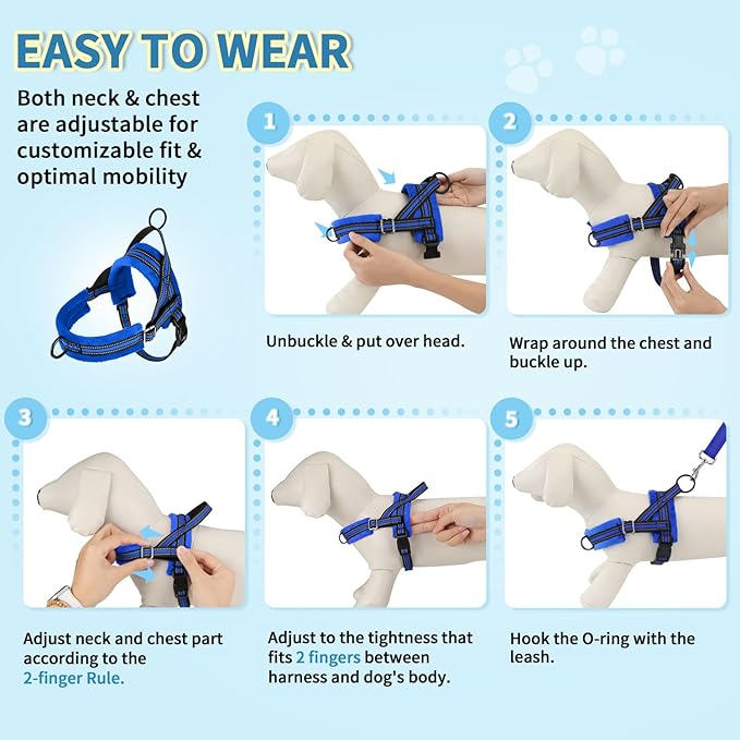 Lukovee No Pull Dog Harness and Leash Set, Soft Padded Small Dog Harness, Neck & Chest Adjustable Reflective Vest Puppy Harness with 4ft Lightweight Anti-Twist Dog Leash for Small Dogs (Blue, M)