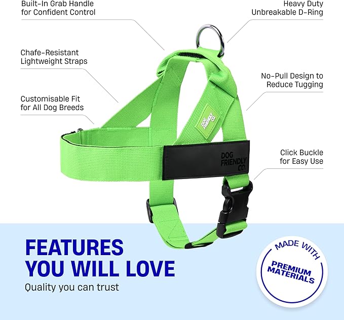 DF Co. Dog Harness | Chafe Resistant Webbing, Adjustable Neck & Chest, and Heavy Duty D-Ring | Sturdy, Comfortable, Easy to Use | Neon Green, Size S