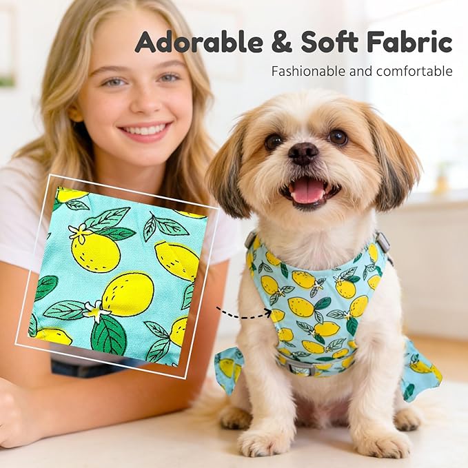 BAEJMJK Dog Dress Bowknot Harness Leash Set for Small Dogs Cats Girl Floral Princess Dog Dresses Cute Puppy Fruit Clothes Pet Doggy Outfits Spring Summer Breathable Dresses(Green,Large)