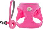 Hipubby Dog Harness and Leash Set, No Pull Soft Mesh Puppy Harness for Small Medium Dogs, Cats - Step in Reflective Breathable Lightweight Vest Harness for Walking, Training - Rose Red, XS