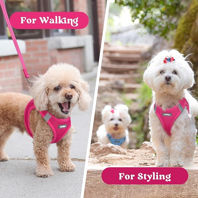 rabbitgoo Small Dog Harness, Step-in Soft Mesh Puppy Vest with Safety Buckle, Breathable Reflective Pet Harness for Small Medium Dogs, Rose Red XL