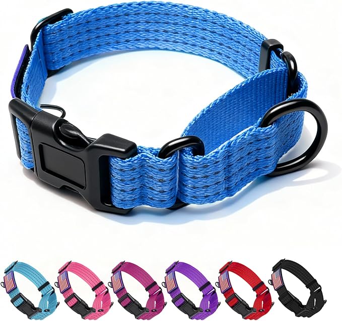 Martingale Dog Collar, Reflective No Pull Training Collar with Quick Release Buckle & USA Flag, Heavy-Duty Nylon, Adjustable for Small Medium Large Dogs (M,Blue with Flag