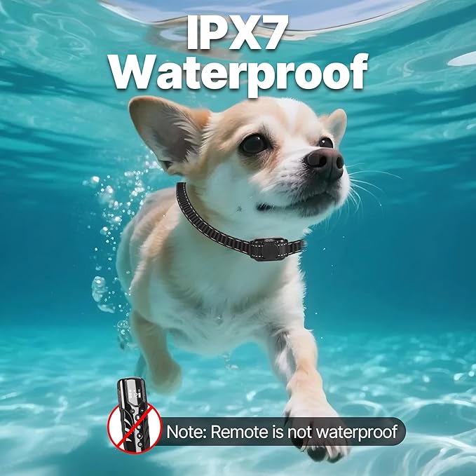 Lightweight No Shock Dog Training Collar, 2000ft Remote Control, Ultra-Small Vibrating Collar for Small (5-15lbs), Medium & Large Dogs, Safe Lock, Beep/Vibrate Modes, Prong-Free, Waterproof,Black
