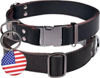 ADITYNA Leather Dog Collar with Metal Buckle - Heavy-Duty, Adjustable for Large & Extra Large Dogs - Walking & Training (Black, Fits 19-30" Necks)
