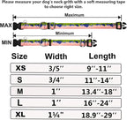 Martingale Collar for Dogs with Buckle No Pull Adjustable Nylon Limited Slip Training Dog Collars (Red Sunset, Medium)