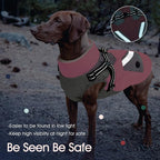 IECOii Dog Winter Coat Waterproof - Pink, Medium - Dog Coat with Harness Built in for Medium Dogs, Thermal Warm Fleece Lined with Zip Up Cold Weather Jacket, Reflective Snowsuit for Outdoor Hiking
