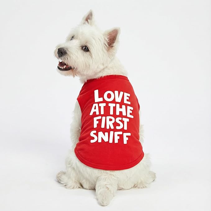 Fitwarm Love at The First Sniff Dog Shirt, Dog Valentines Outfit, Summer Dog Clothes for Small Dogs Boy Girl, Funny Dog Tshirt, Lightweight Breathable Cotton, Pet Cat Outfit, Red, Large