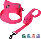 BELLA & PAL Step in Vest Harness for Small and Medium Dogs, No Pull Small Dog Harness with Leash Set, Comfortable Air Mesh Dog Vest Harness with Reflective Strip (Hot Pink, XS)