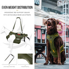 OneTigris Dog Lift Harness for Large Dogs, Dog Hip Support Brace, Full Body Lifter with Handles Invictus Multifunctional Mobility Assistance Vest for Back Legs (Green, Medium)