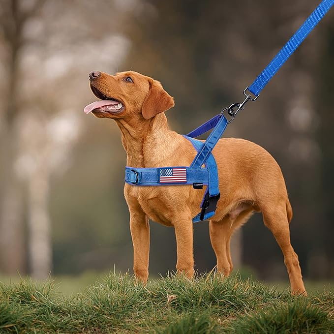 Annchwool No Pull Dog Harness with Padded Handle+5 Ft Leash,Reflective Strip Escape Proof and Quick Fit to Adjust Dog Harness,Easy for Training Walking for Small & Medium and Large Dogs(Blue-Set,M)