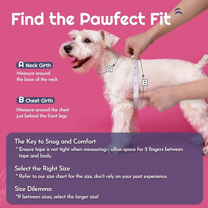 Eagloo Small Dog Harness and Leash Set, Step in Puppy Vest with Breathable Soft Mesh, Walking Reflective Pet Harness for Small Dogs, Rose Red, XS