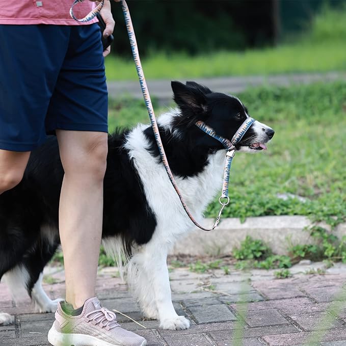 BARKLESS Dog Head Collar, Anti-Pulling Printed Head Halter with Leash, Gentle Snout Harness with Adjustable Clip for Small Medium, and Large Dogs Leash Training