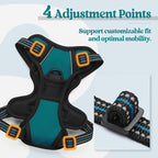 rabbitgoo Dog Harness No Pull with 2 Leash Clips, Adjustable Soft Padded, Reflective Oxford No Choke Pet Vest with Easy Control Handle for Puppy, Blue Coral, XS