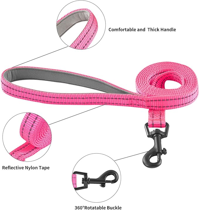 Hipubby Dog Harness and Leash Set, No Pull Soft Mesh Puppy Harness for Small Medium Dogs, Cats - Step in Reflective Breathable Lightweight Vest Harness for Walking, Training - Rose Red, M