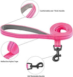 Hipubby Dog Harness and Leash Set, No Pull Soft Mesh Puppy Harness for Small Medium Dogs, Cats - Step in Reflective Breathable Lightweight Vest Harness for Walking, Training - Rose Red, M