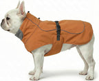 Softshell Dog Winter Vest, Fleece Lined Water-Repellent Jacket with Fur-Safe Buckle (No Hook & Loop) for Hiking, Adjustable Reflective Winter Coat for Active Dogs (Aurantium, X-Small)