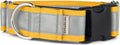 If It Barks - 1.5" Reflective Martingale Collar with Quick Snap Buckle for Dogs - Adjustable - Made in USA - Strong, Durable, and Comfy - Ideal for Training - Fits Most Breeds - Small, Yellow Gold