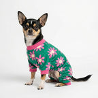 Fitwarm Flower Fleece Dog Pajamas, Warm Winter Dog Clothes for Small Dogs Girl, Cozy Pet Onesie with Feet, Dark Green, XS