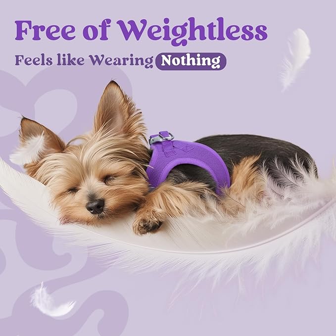 rabbitgoo Small Dog Harness, Step-in Soft Mesh Puppy Vest with Safety Buckle, Breathable Reflective Pet Harness for Large Dogs, Purple XXL