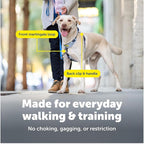 PetSafe Easy Walk Comfort No-Pull Dog Harness - Better Walk Training Harness - Full Body Padded Design - Durable Fabric - 5 Point Adjustable Fit - Everyday Leash Training - Green - Medium/Large