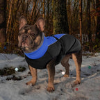 IECOii Extra Warm Reflective Adjustable Dog Jacket - Winter Coat with Buckle & Fleece Turtleneck for Small to Extra Large Dogs
