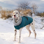 Lelepet Warm Dog Coats for Large Dogs Waterproof Dog Winter Jacket Reflective Pet Fleece Vest Windproof Cold Weather Coats with Adjustable Buckle & Leash Hole, Dark Green, XXL