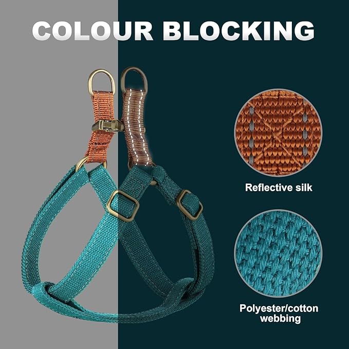 Didog Step in Dog Harness with Metal Buckles, Freedom Nylon Dog Halter Vests for Medium Dogs Easy Walking Training(M:Chest 19-28", Blue)