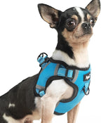PUPTECK No Pull Dog Harness Small Sized Dog, Adjustable Reflective Escape Proof Easy Control, Comfortable Soft Padded Step in Pet Vest Harness, Blue, XS
