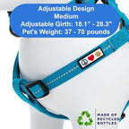 Pawtitas Recycled Reflective Step-in Dog Harness – Adjustable No-Pull Vest for Puppies to Seniors, Safe & Comfortable M Teal