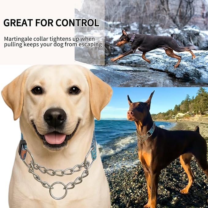 Martingale Dog Collar with Chain Stainless Steel, Nylon Dog Collar Flowers Pattern, Adjustable Training Walking Collar with Quick Release Buckle, Slip Chain Collar for Puppy Medium Large Dogs