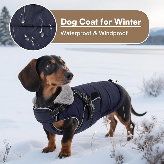 Queenmore Small Winter Dog Coat with Harness Built-in, Waterproof Winter Jackets for Small Dogs, Puppy Warm Puffer Jacket for Snow/Cold Weather - Fleece Reflective Easy On Hook & Loop Closure, Navy S