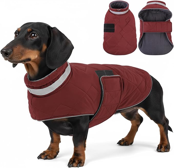 KAMA BRIDAL Dog Winter Coat Warm Padded Puppy Jacket Windproof Water Resistant Clothes for Small Medium Large Pets Christmas Sweater Outfit Vest(Red, S)