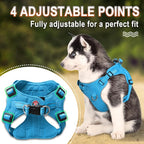 BARKBAY Dog Harness, Reflective Adjustable Puppy No Pull Harness, Breathable Soft, Blue, XXS