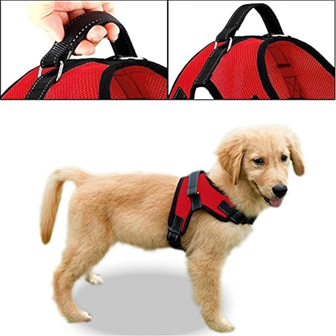 No Pull Reflective Adjustable Dog Harness with Handle- Comfortable Soft All Weather Mesh, Easy On Puppy Harness for Small Medium and Large Dogs (Red) X-Large