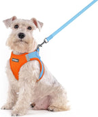 rabbitgoo Dog Harness Medium Sized and Leash Set, Step in Soft Light Puppy Vest, Breathable Mesh Pet Harness, Reflective for Safe Easy Walking, Blue & Orange XXL