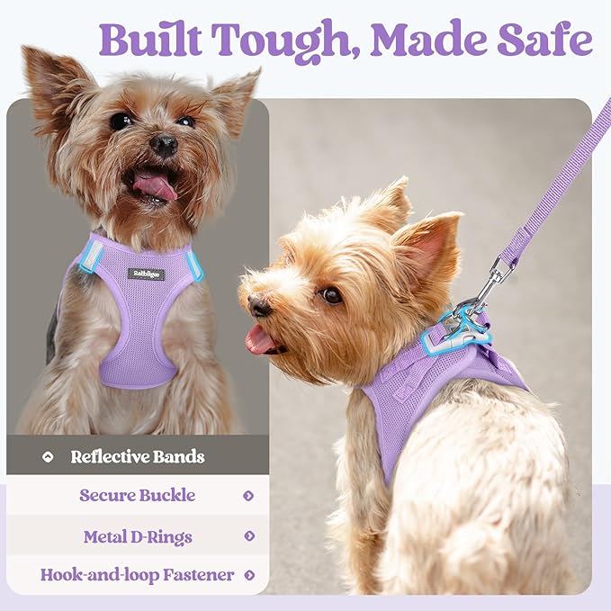 rabbitgoo Dog Harness Small Medium Sized and Leash Set, Step in Soft Light Puppy Vest, Breathable Mesh Pet Harness, Reflective for Safe Easy Walking, Light Purple XL