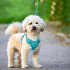 BARKBAY No Pull Dog Harness Large Reflective Dog Harness with Front Clip and Easy Control Handle for Walking Training Running with ID tag Pocket(Ocean Blue,XS)