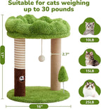 Small Cat Tree with Perch Cat Bed and Removable Cover 23 inch Tall Cat Tower with 2 Scratching Sisal Scratching Posts and Cat Toys for Kittens and Adult Cats（Green）