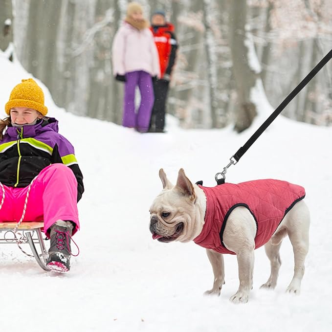 SCENEREAL Winter Vest Coat With Harness Built-In, Warm Jacket for Small Medium Dogs, Cold Weather Coat With Zipper, Fleece Puffer Vest Windproof Snow Clothes for Puppy Pet