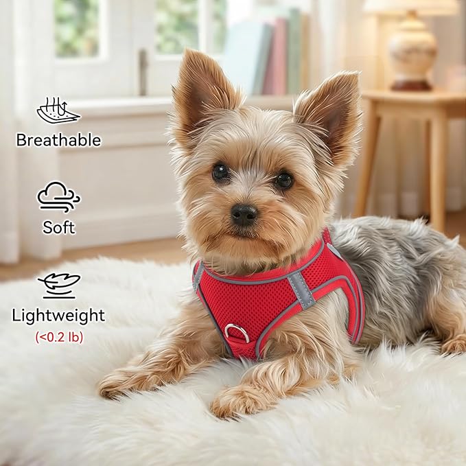 Joytale Small Dog Harness, Breathable Mesh Step-in Vest, Reflective Soft Padded Harnesses Small Sized Dog for Walking, Red, S