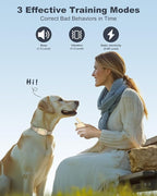 Dog Training Collar with Remote – 4200FT Range, Waterproof IPX8 Rechargeable E-Collar, Beep (1-3), Vibration (1-3), and Static (0–99) for Small Medium Large Dogs