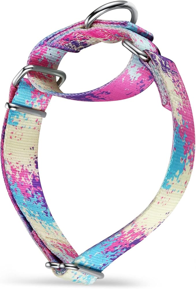 Martingale Collar for Dogs Escape-Proof No-Pull, Durable Polyester Training Collar for Dogs, No-Buckle (Profusion Colorful, Large)