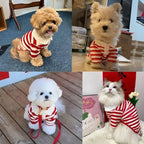 MANON ROSA Dog Clothes, Designer Boy Polo Shirt for Small Medium Dogs, Soft Puppy Outfit, Breathable Male Yorkie Chihuahua Shih Tzu Poodle Kitten Cat T-Shirt, Birthday Gifts - Red, S, Fit 3-5lbs