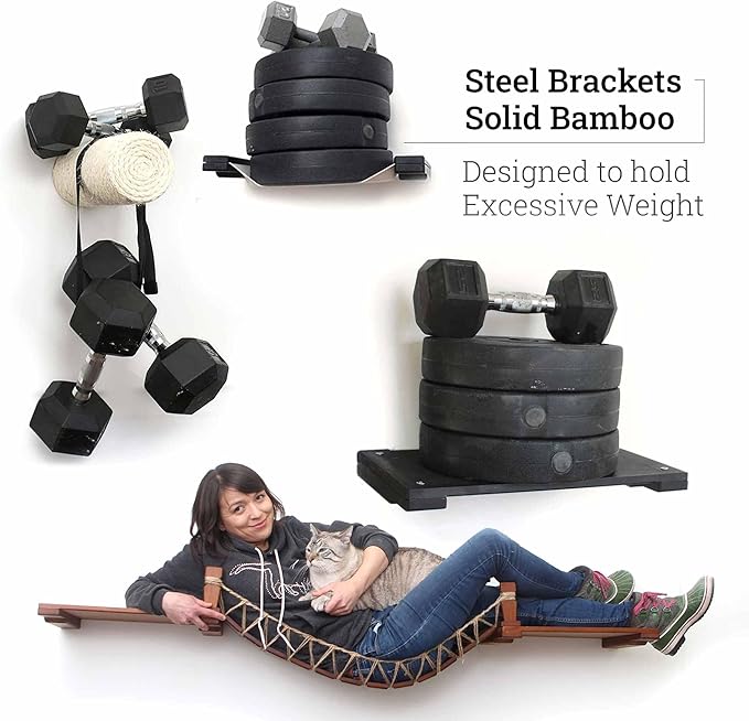 CatastrophiCreations Cat Bridge Wall-Mounted Play and Lounge Toy Cat Tree Tower Alternative for Pets