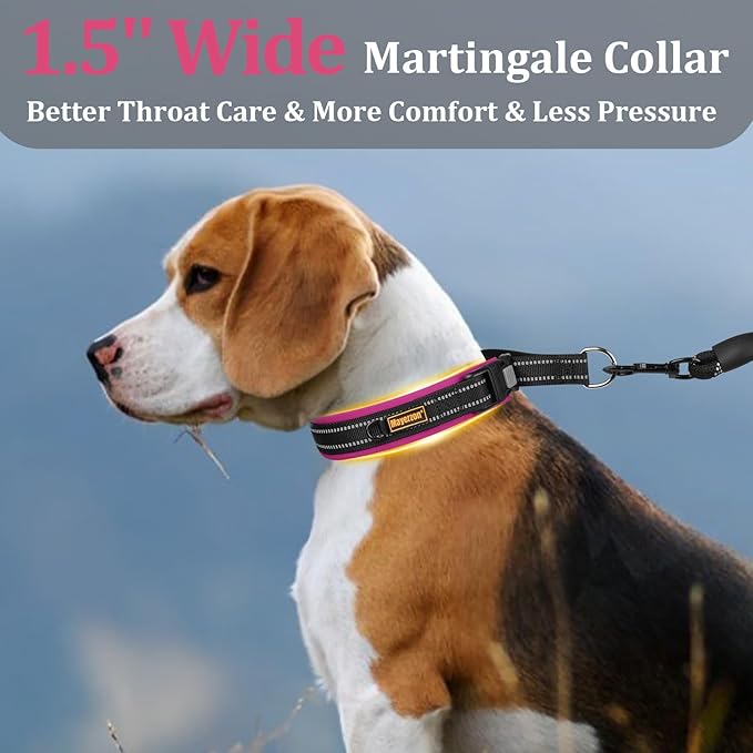 Mayerzon 1.5" Wide Martingale Collar for Large Medium Small Dogs Pitbull German Shepherd, No Pull Reflective Slip Martingale Dog Collar with Buckle Soft Padded for Walking Training(Pink, S)
