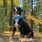 Wide 1.5 Inch Martingale Dog Collar - No Pull & Escape Proof Training Collar for Large Dogs, Adjustable Thick Slip Collar（Elephant M）