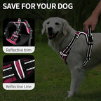 HEELE Dog Harness, No Pull Adjustable Padded Reflective Harness for Small Medium Large Dogs with Handle for Walking Training,Rose, L