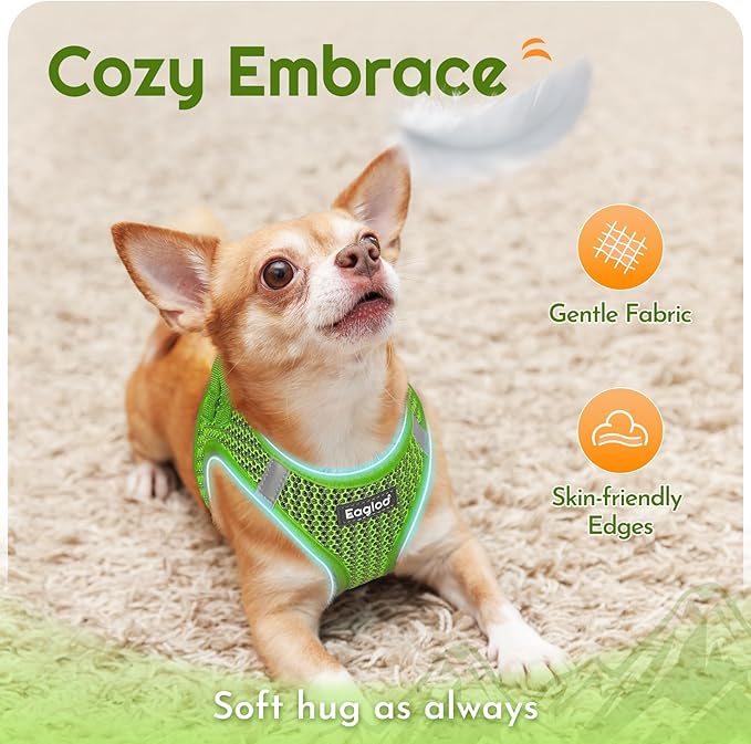 Eagloo Small Dog Harness and Leash Set, Step in Puppy Vest with Breathable Soft Mesh, Walking Reflective Pet Harness for Medium Small Dogs, Green, M